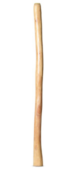 Medium Size Natural Finish Didgeridoo (TW1377)